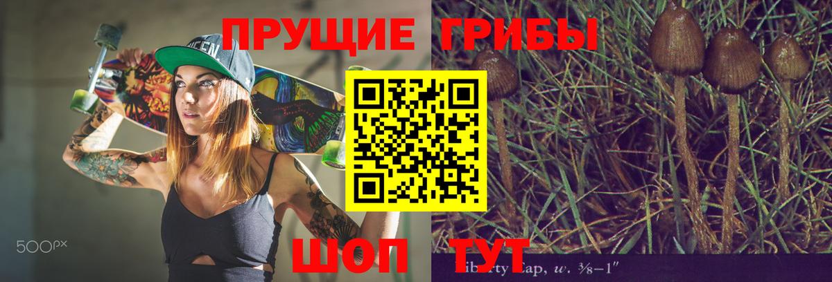 Новый Уренгой  Галлюциногенные грибы Cubensis  Вход с VPN  Псилоцибиновые грибы ЛСД 