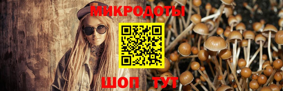 Галлюциногенные грибы ЛСД Новый Уренгой
